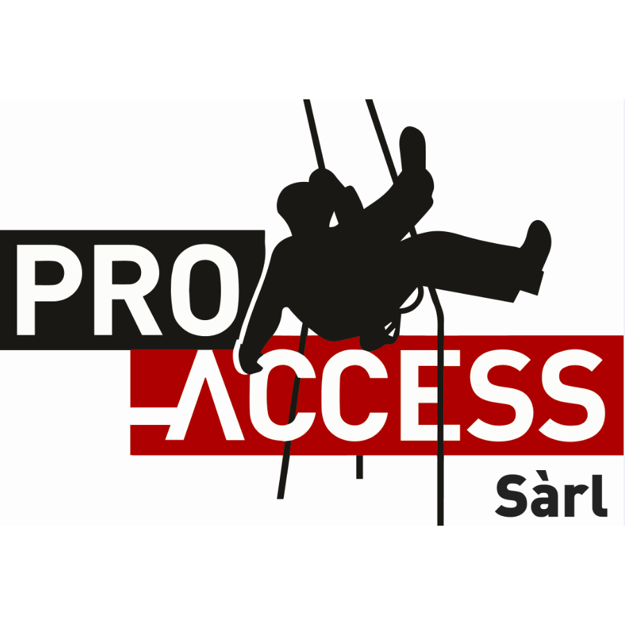 Pro-access Sàrl Logo