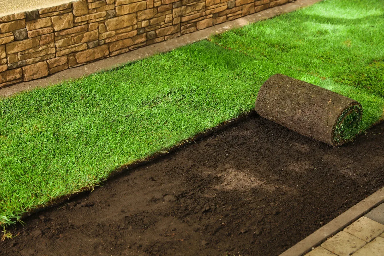 Fresh sod installation underway over prepared soil, creating a healthy green lawn through profession 