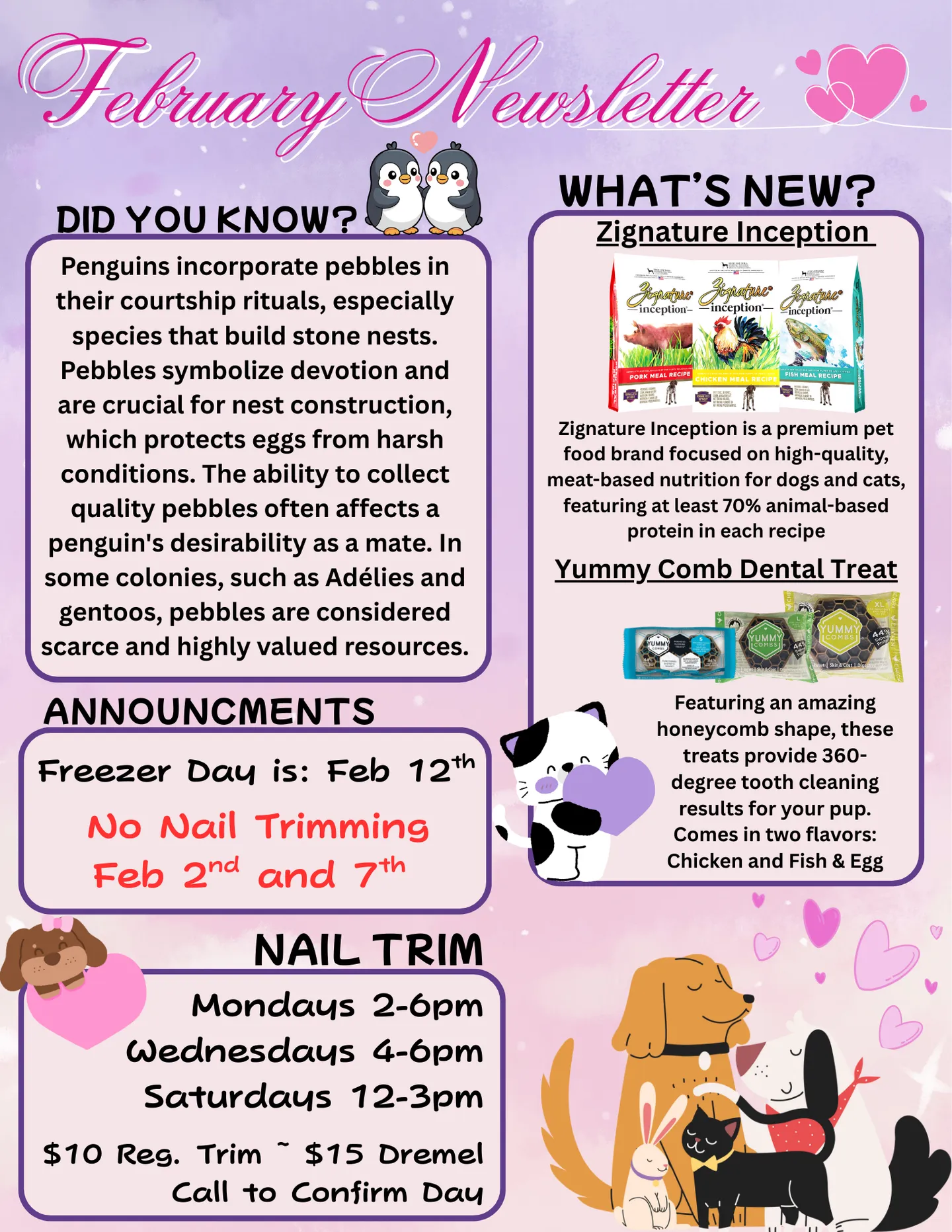 Image of Local Pet Event February newsletter Nearby