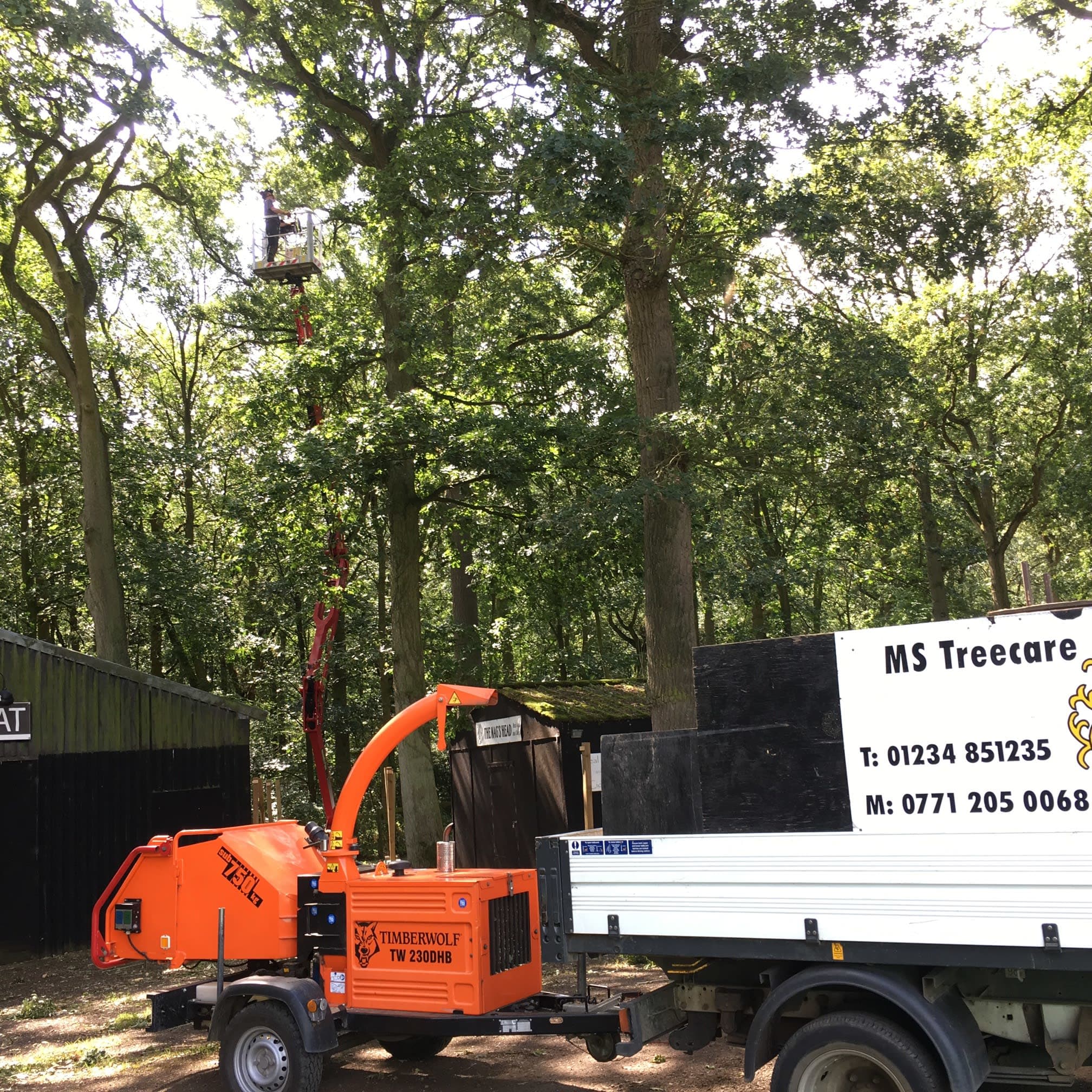 Images Ms Tree Care Ltd