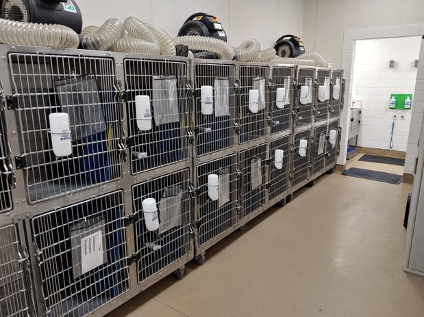Images Petco