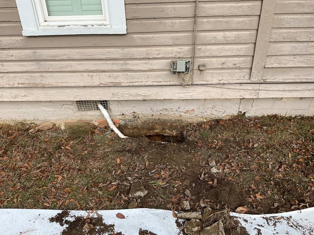 Images Ox Foundation Solutions