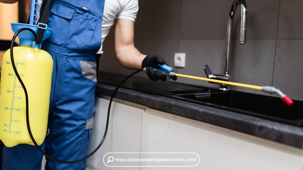 Images Pest Control Detroit