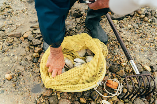 Wequassett Resort and Golf Club Image