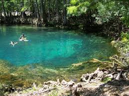 Alachua County is home to some of the best springs in all of Florida.  The water is a perfect 72 degrees all year round.  These springs are home to the Florida Manatees in a winter months.  They are a site to see!
