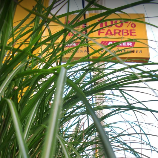 100%FARBE, Kaiserstraße 47 in Wien