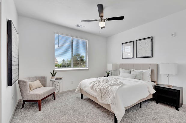 Images Arrive Longmont