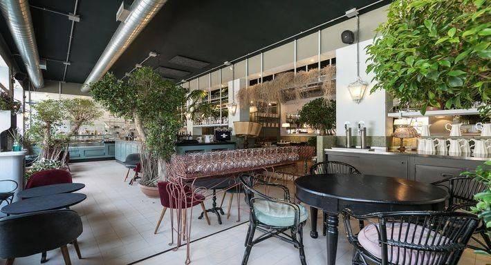 Angelina Cafe'