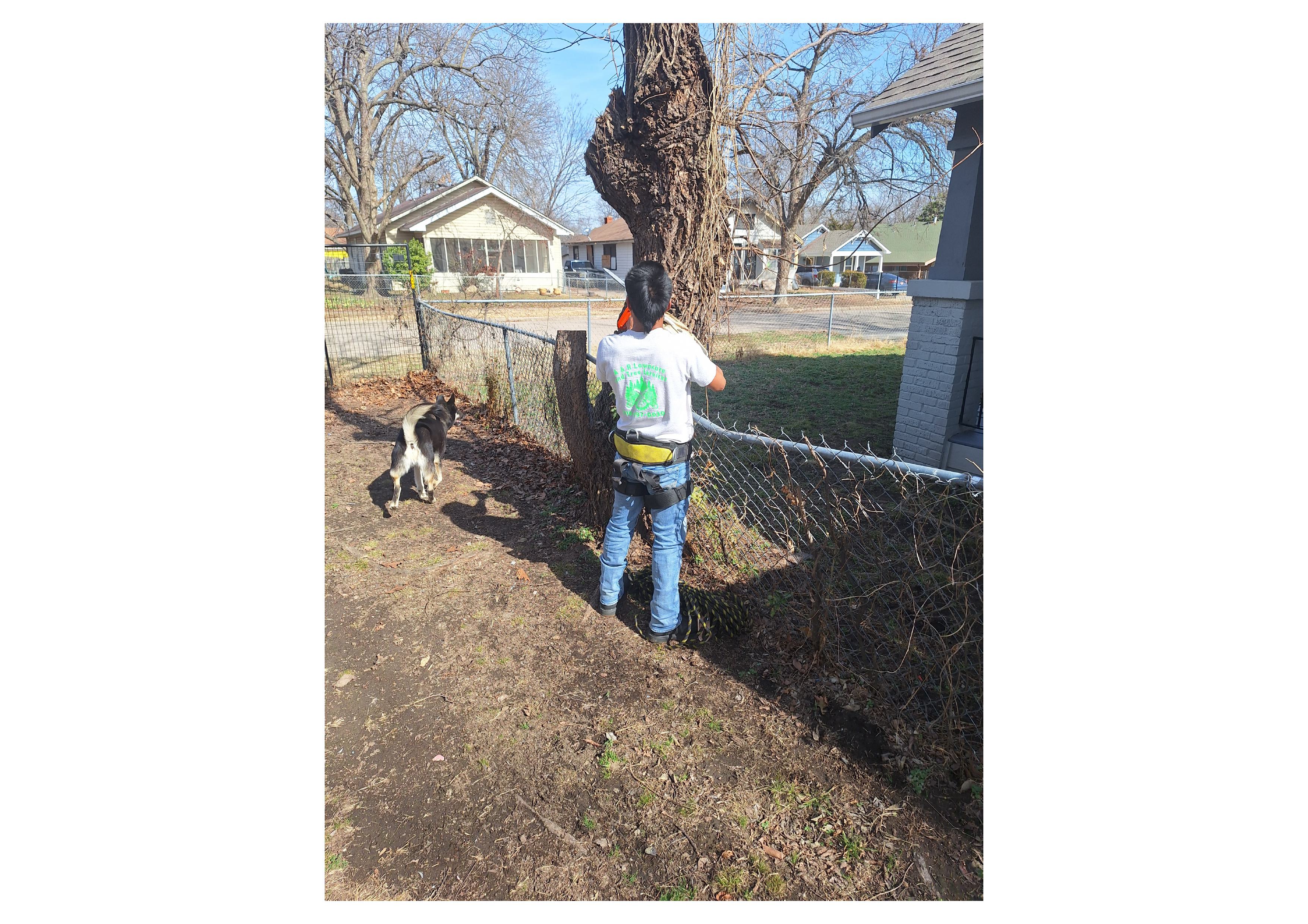 AR Lawn Care and Tree Service Image