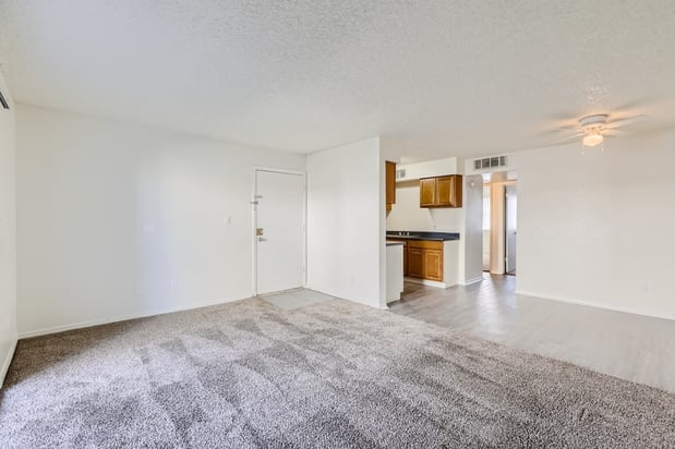 Images Rise Thunderbird