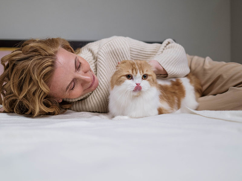 Dr. Elie Pet Rescue Image