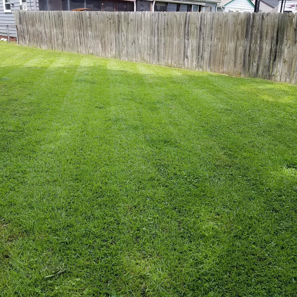 Lawns by Shawn