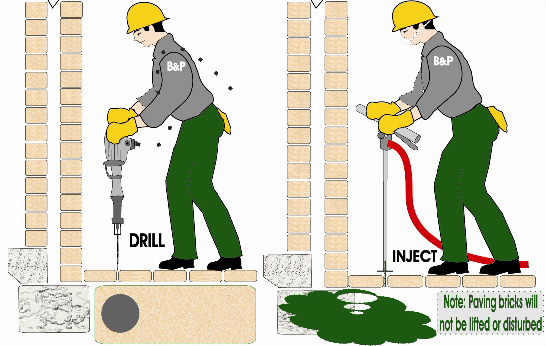 Images BP Homecare Pest Control