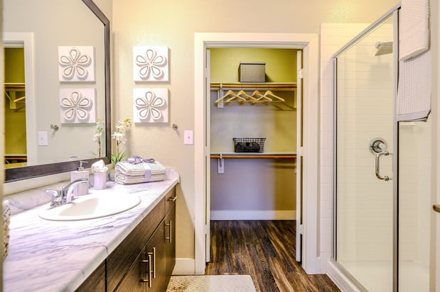 Images The Allure Apartments