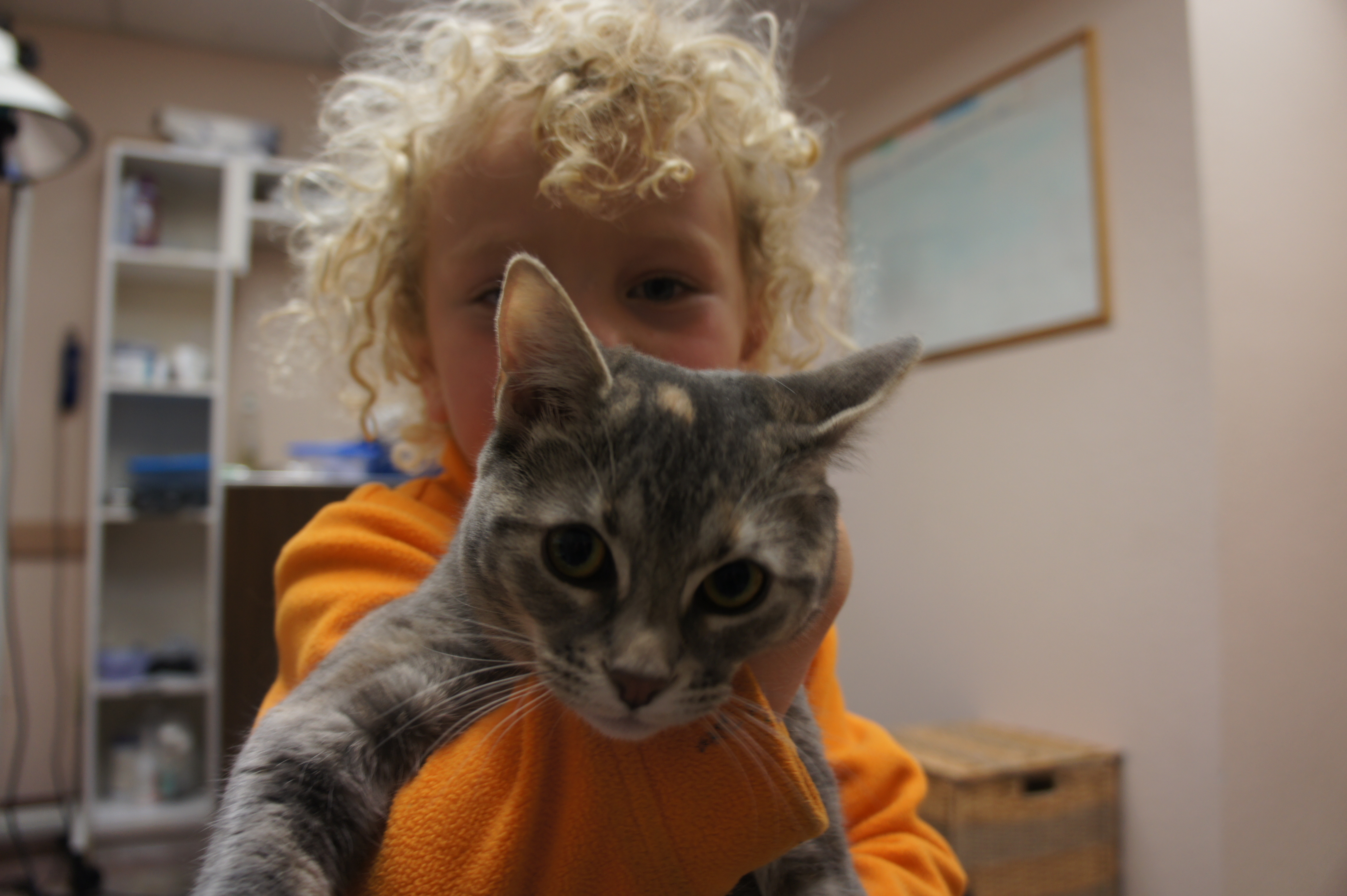 Kaibab Veterinary Clinic