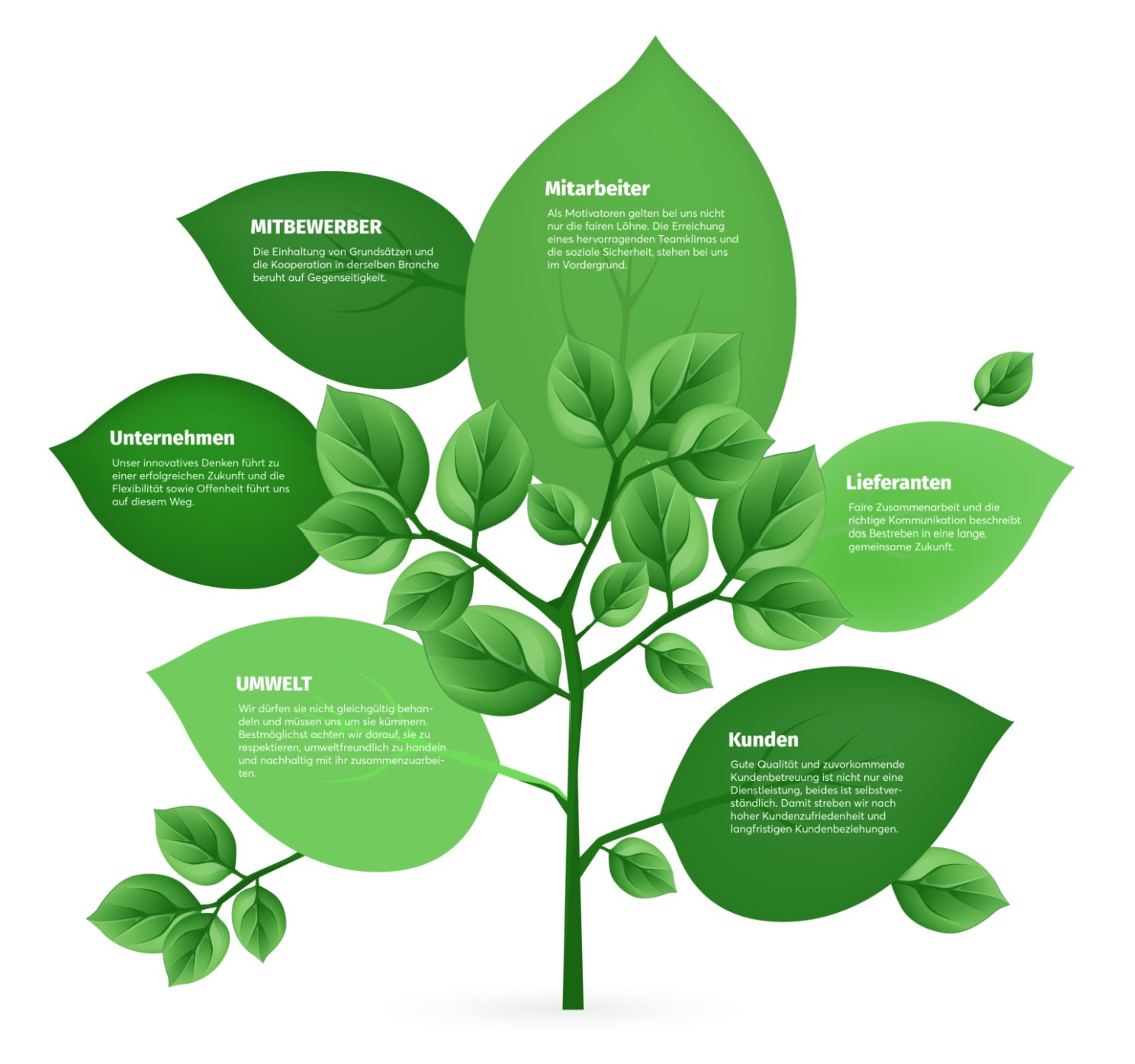 Stalder Schweizerfrüchte AG, Vorderdorf 1 in Aesch LU