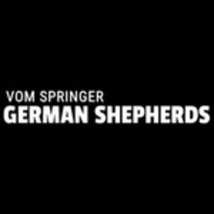 Vom Springer German Shepherds Logo