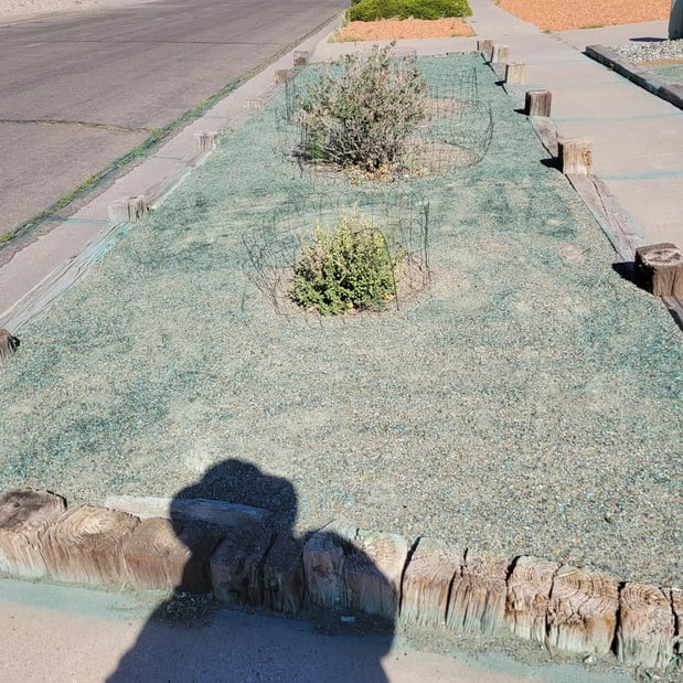 Images Southwest Weed & Pest Solutions LLC