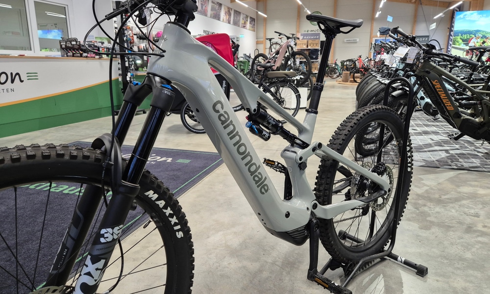 Bild 8 e-motion e-Bike Welt, Dreirad-Zentrum & Lastenfahrrad-Zentrum Westhausen in Westhausen