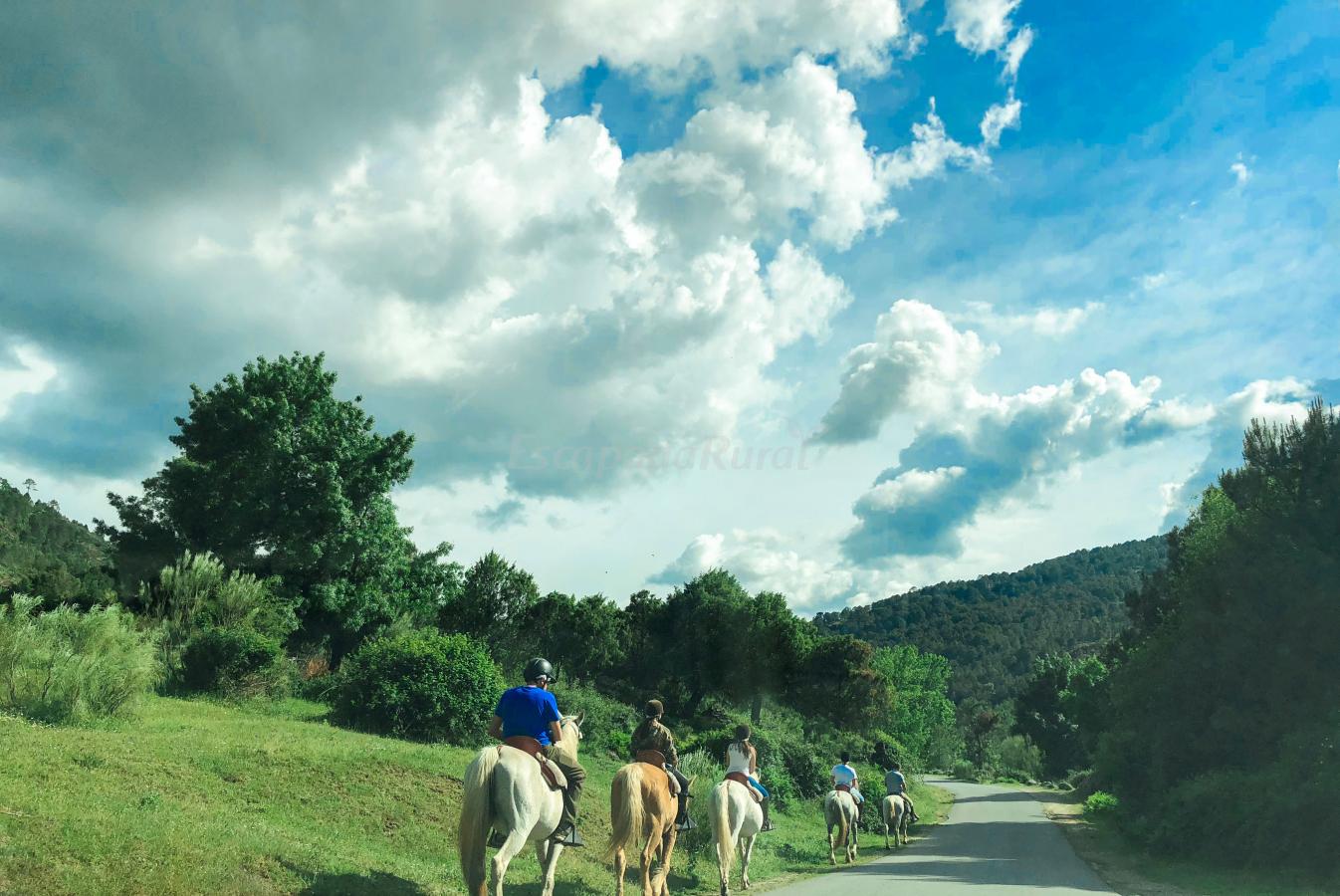 Images El Rincón de Iruelas