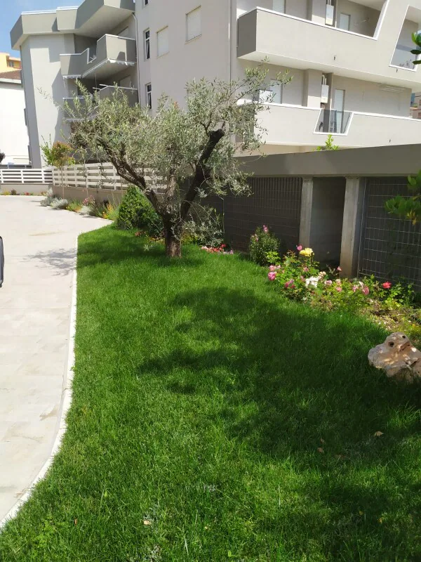Images Azienda agricola vivaistica Gaetano Fortino - Vivai e Piante