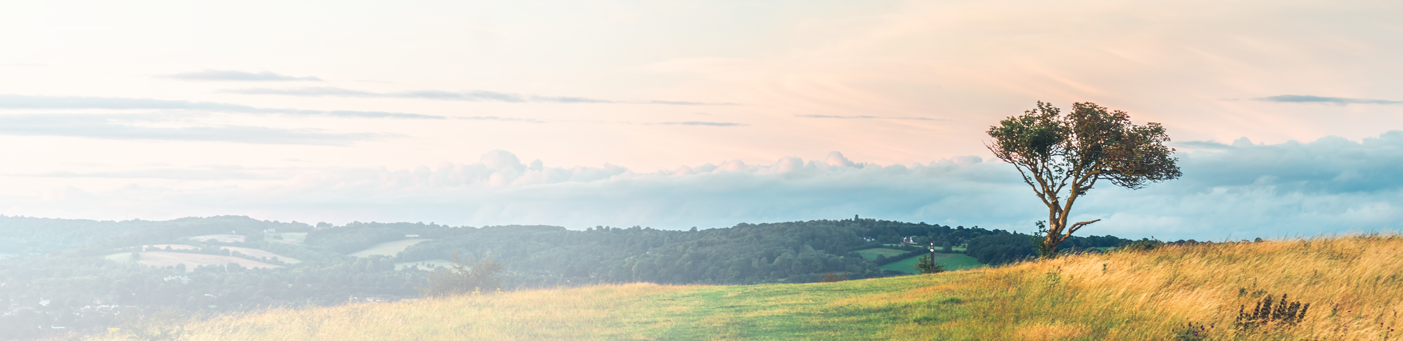 Wind rustling the tall grass on a scenic hillside.