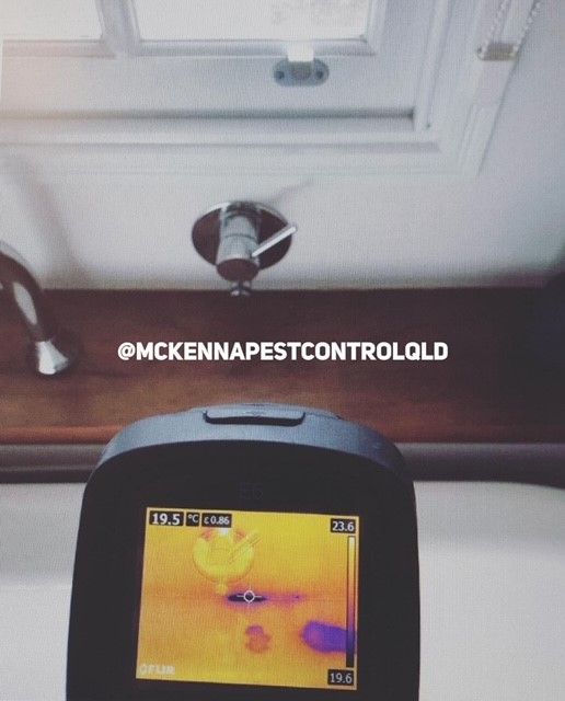 Images McKenna Pest Control (Qld) Pty Ltd