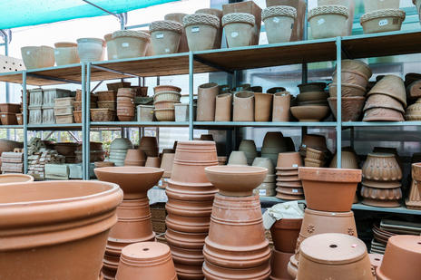 Images Vivaio Avagliano Piante