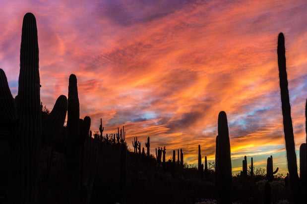 Images Holiday Inn Express & Suites Phoenix - Airport North by IHG