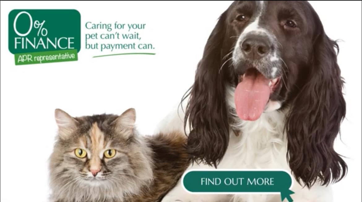Images Streatham Hill Veterinary Surgery