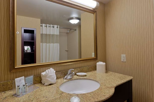 Images Hampton Inn Rochester-Webster
