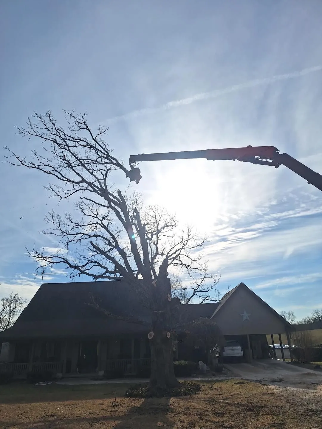 Casey's Tree Service LLC Image
