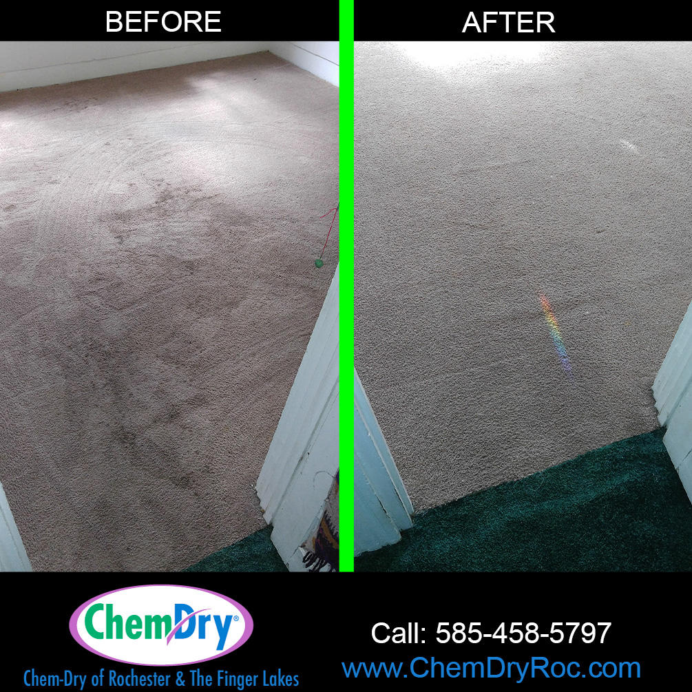 Carpet Cleaning in Rochester, NY