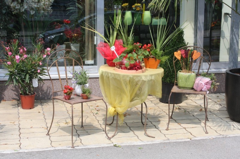 Gartencenter Jedlersdorf - Ing. Josef Hübel, Jedlersdorfer Straße 141 in Wien