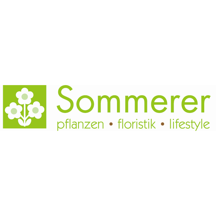 Sommerer & Co Logo