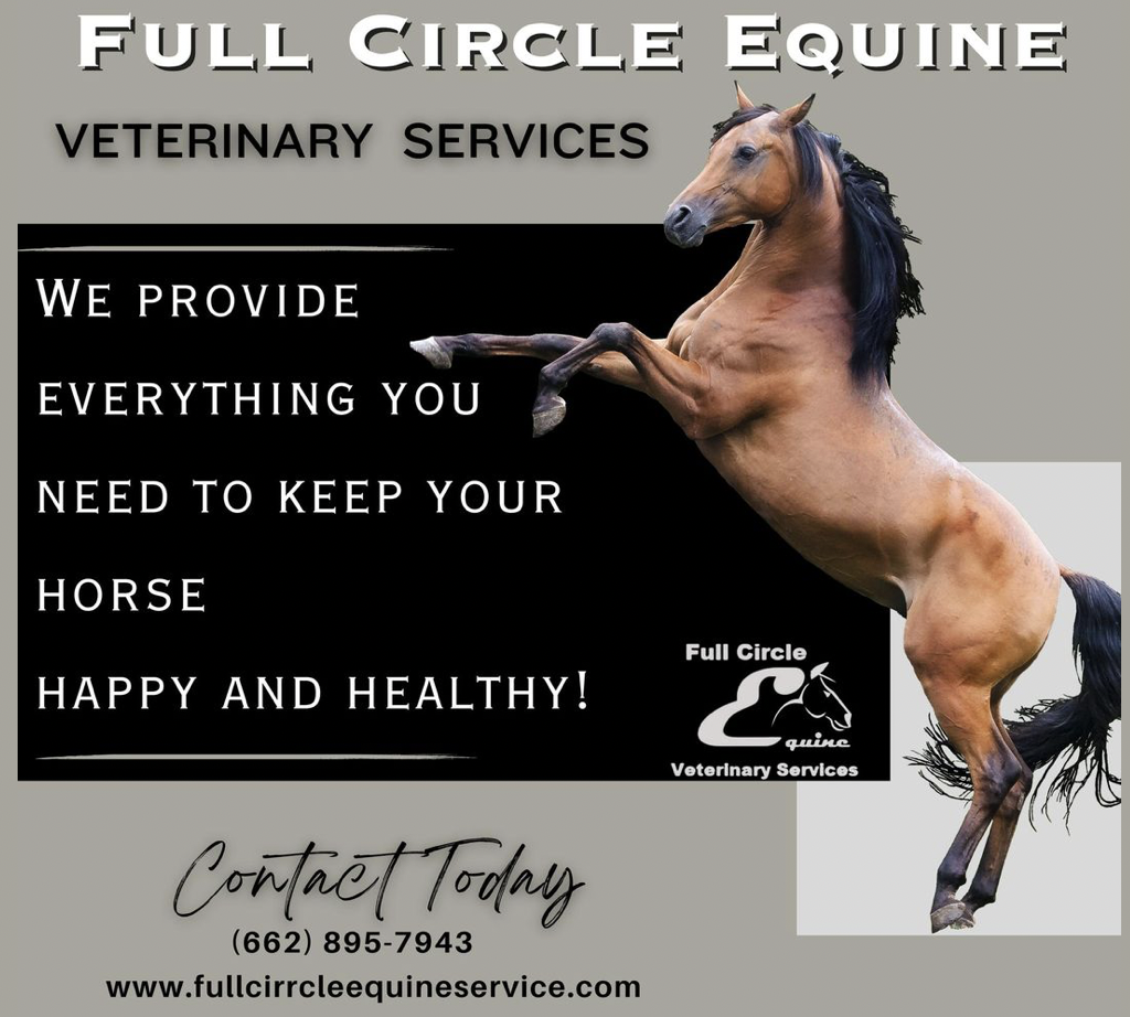 The wonderful veterinarians and staff at Full Circle Equine Veterinary Services are ready to provide your horse with medical care that he or she needs. From wellness exams and vaccines to advanced diagnostics, your horse will receive the highest quality veterinary care in every phase of his or her life.