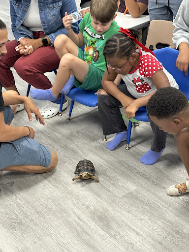 Images Cold Blooded Kingdom