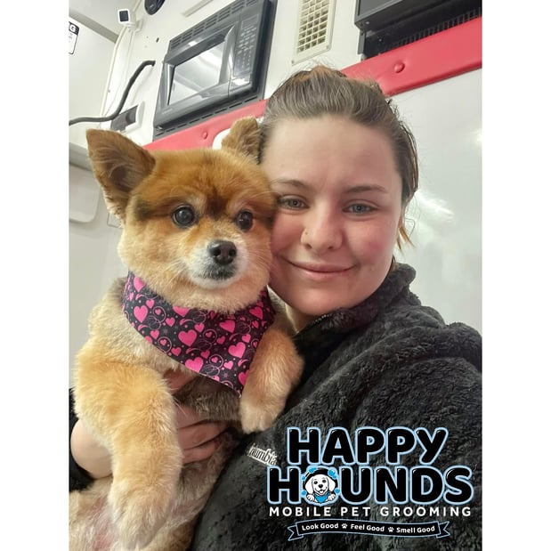 Images Happy Hounds Mobile Pet Grooming