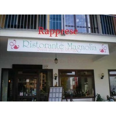 Ristorante Pizzeria Magnolia Logo