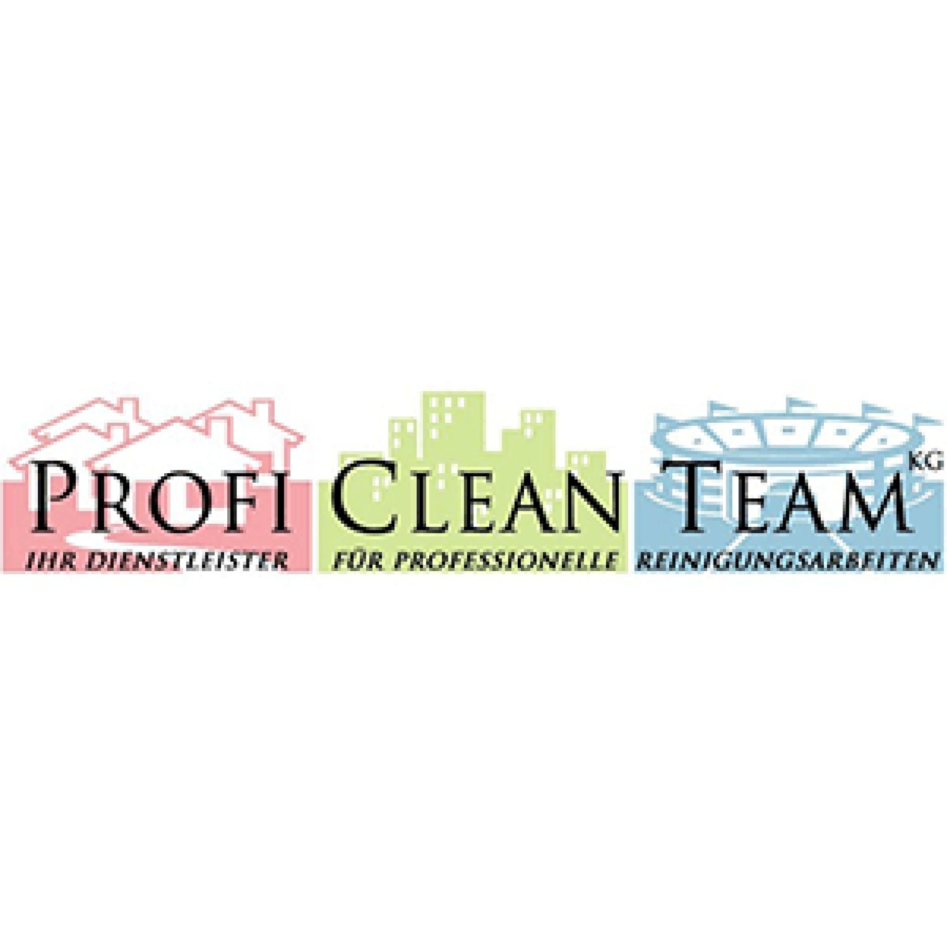 Profi Clean Team KG Logo