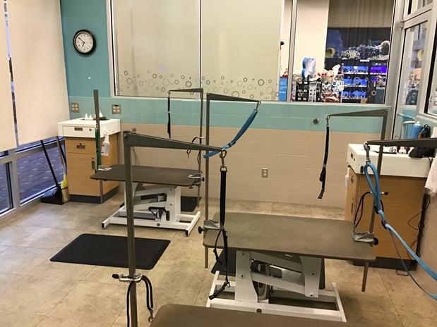 Images Petco Grooming