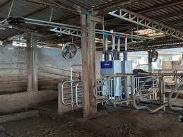 Images Mastrodomenico Agricoltura