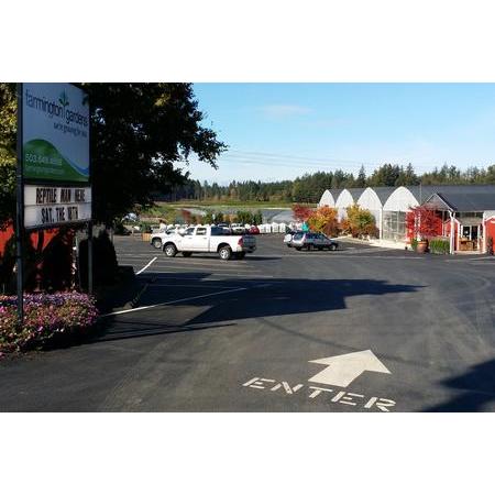 Eagle Paving