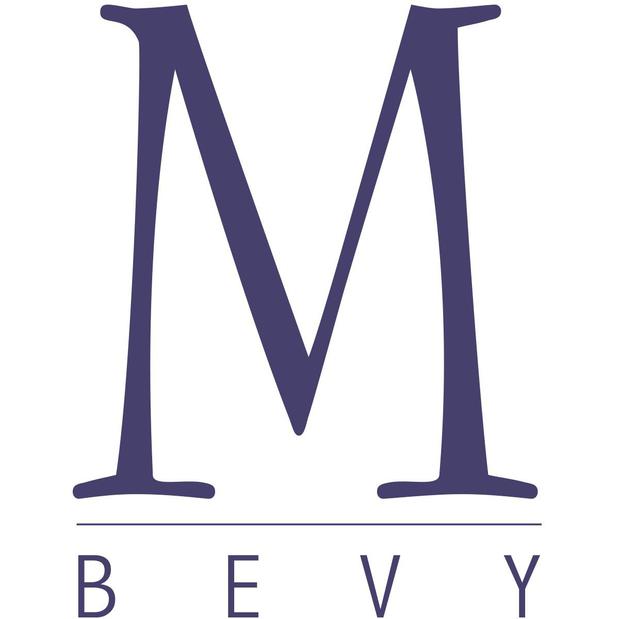 M Bevy Logo