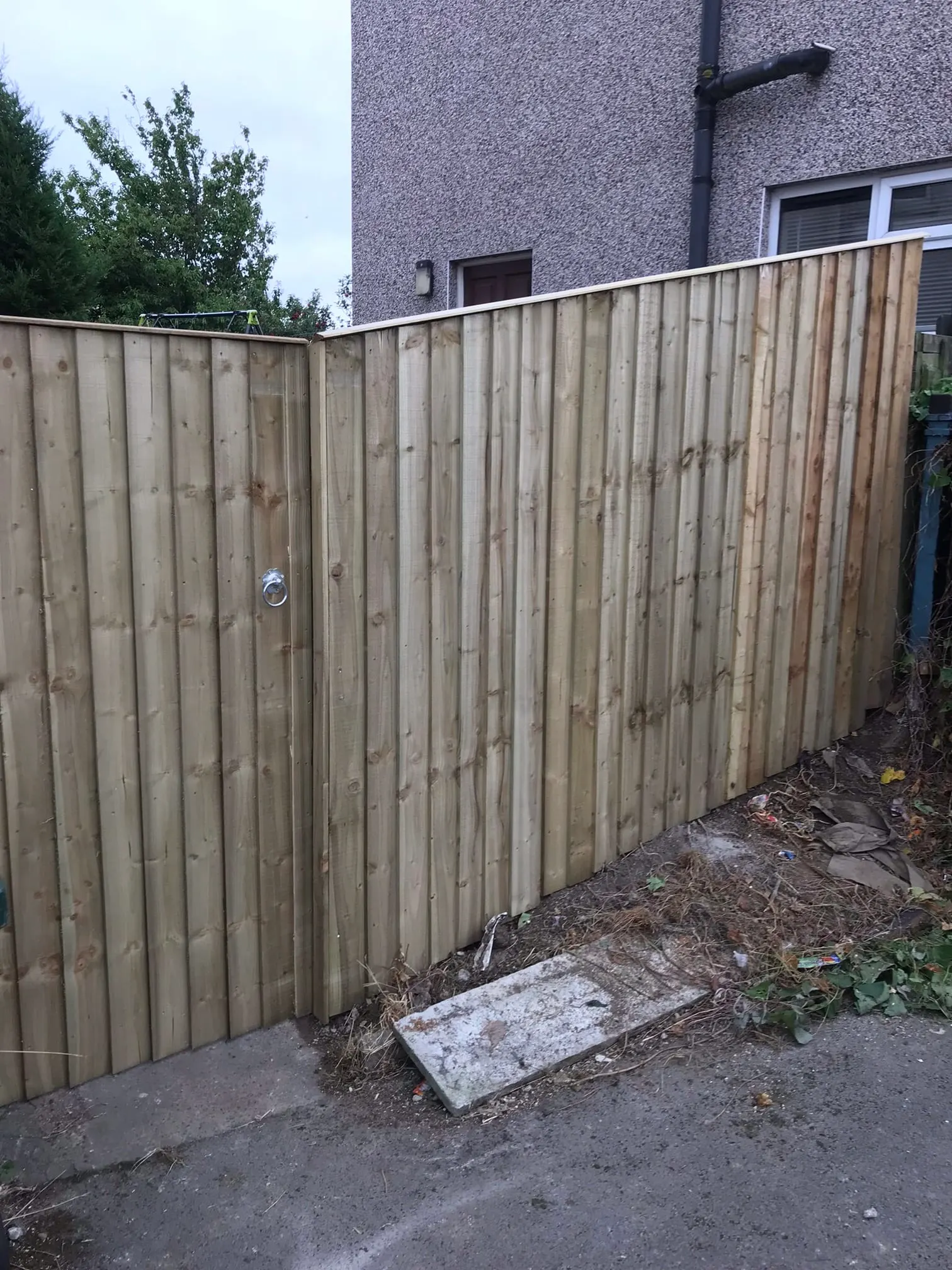 Images D & E Landscapes