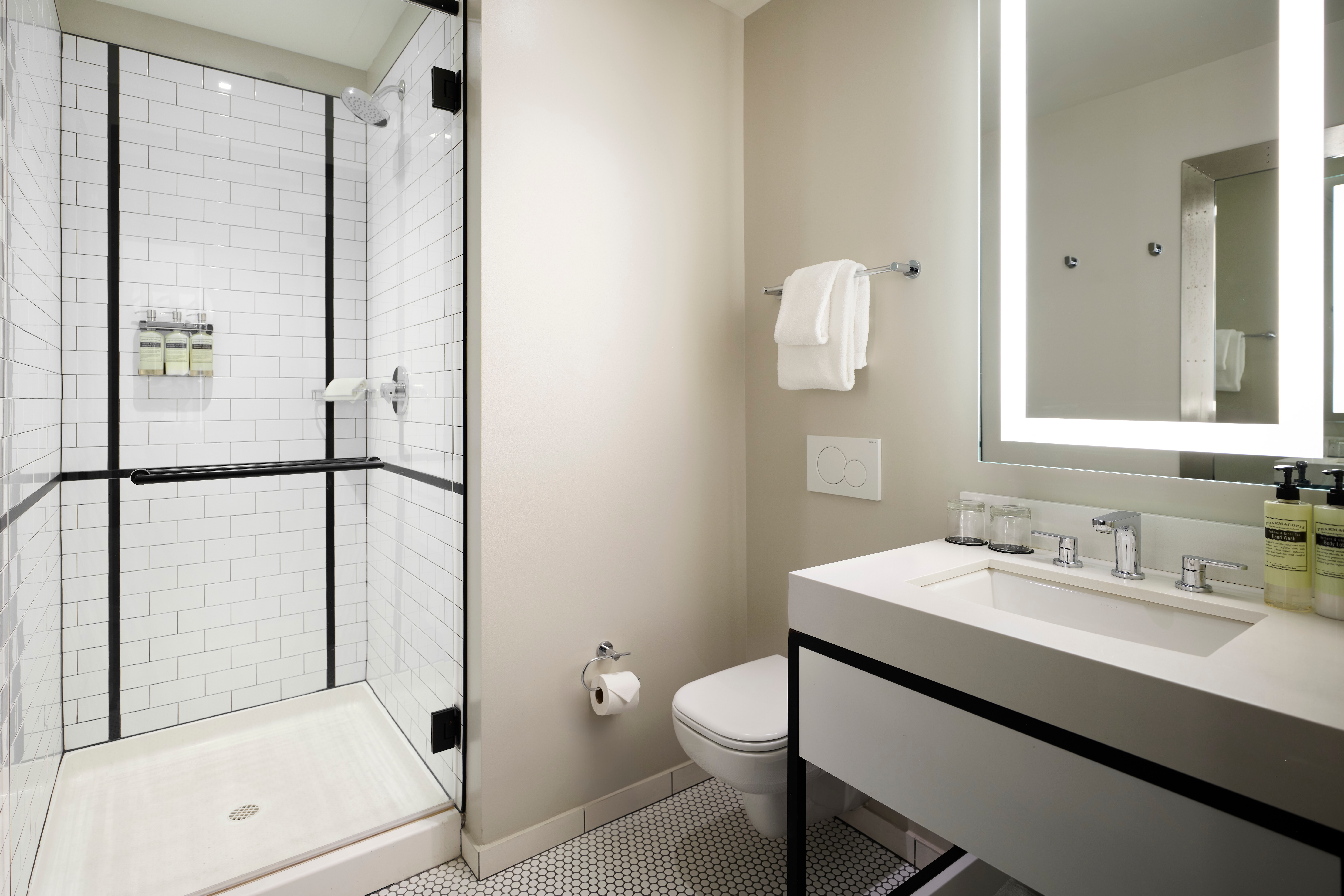 Arlo Chicago King Room Bathroom 