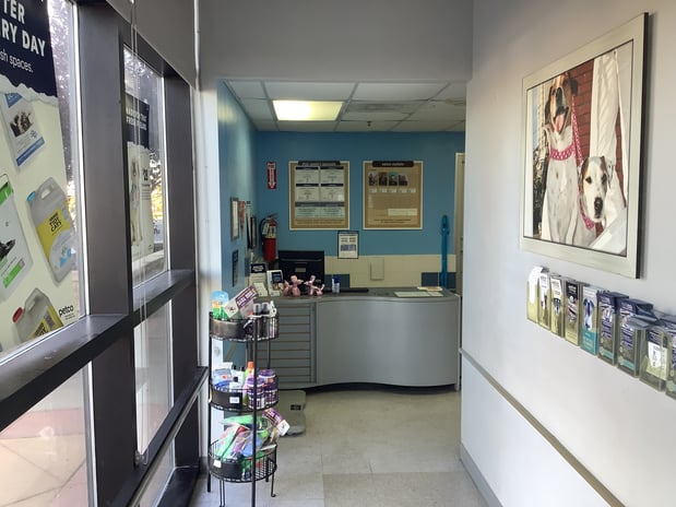 Images Petco Grooming