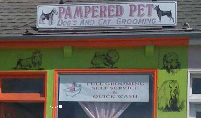 Pampered Pets