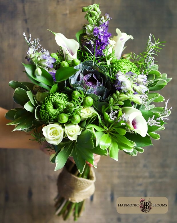 Images Harmonic Blooms