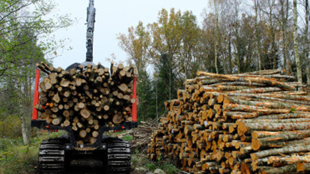 Images Karlslunds Skog AB